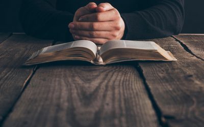 Top 14 Best Bible Reading Plans – 2023